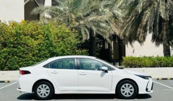 COROLLA 2024 full